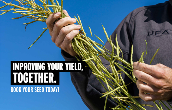 Cover of the 2023 UFA Canola and Corn Seed Guide. Text reads: Improving Your Yield Together. Find your seed today! 