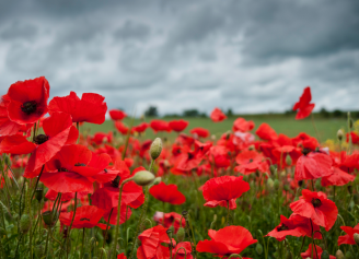 Remembrance Day – Lest we Forget
