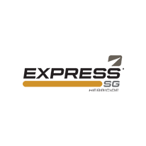 Express SG