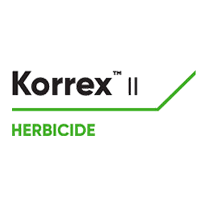 Korrex II