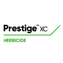 Prestige XC